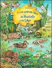 Il mio grande libro del ruscello e lago. Ediz. illustrata