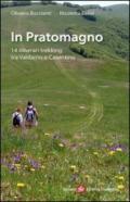 In Pratomagno. 14 itinerari trekking tra Valdarno e Casentino