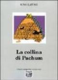 La collina di Pachum