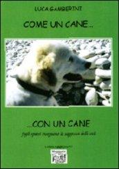 Come un cane... con un cane. Fogli sparsi inseguono la saggezza delle vele