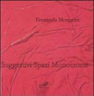 Fernanda Morganti. Suggestivi spazi monocromi. Catalogo della mostra (Prato, 23 maggio-21 giugno 2009). Ediz. italiana e inglese