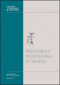 Preistoria e protostoria in Veneto