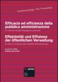 Efficacia ed efficienza della pubblica amministrazione. Un modo per realizzare l'eguaglianza sostanziale