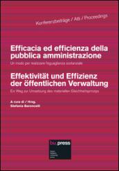 Efficacia ed efficienza della pubblica amministrazione. Un modo per realizzare l'eguaglianza sostanziale