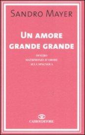 Un amore grande grande ovvero matrimonio d'amore alla spagnola