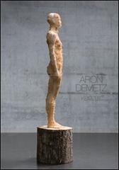 Aron Demetz. Keimzeit. Ediz. multilingue