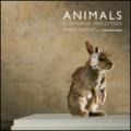 Animals. A different perception. Pascal Bernier. Ediz. multilingue