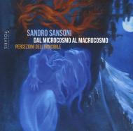 Sandro Sansoni. Dal microcosmo al macrocosmo. Percezioni dell'indicibile. Catalogo della mostra (Ascoli Piceno, 15 giugno-13 luglio 2019)