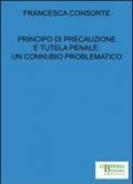 Principio di precauzione e tutela penale. Un connubio problematico