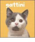 Gattini