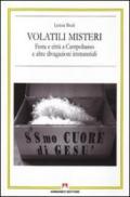 Volatili misteri. Festa e città a Campobasso e altre divagazioni immateriali