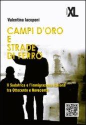 Campi d'oro e strade di ferro. Il Sudafrica e l'immigrazione italiana tra Ottocento e Novecento