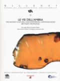 LE VIE DELL'AMBRA . THE ANCIENT CULTURAL AND COMMERCIAL COMMUNICATION BETWEEN