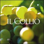 Il Collio: 1