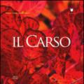 Il Carso