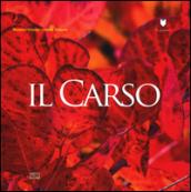 Il Carso