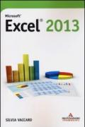 Microsoft Excel 2013