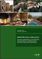 Ripartire dalla bellezza. Gestione e marketing delle opportunità d'innovazione nell'albergo diffuso nei centri storici e nelle aree rurali