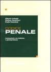 Codice penale. Commentato con dottrina e giurisprudenza