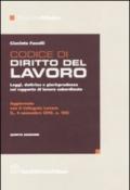 Codice di diritto del lavoro. Leggi, dottrina e giurisprudenza sul rapporto di lavoro subordinato