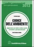 Codice dell'ambiente