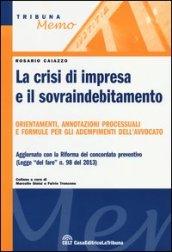 La crisi di impresa e il sovraindebitamento. Orientamenti, annotazioni processuali e formule per gli adempimenti dell'avvocato