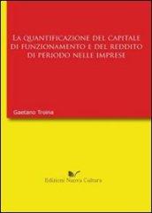 La quantificazione del capitale di funzionamento e del reddito di periodo nell'impresa