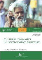 Cultural dynamics in development processes