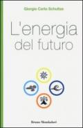 L'energia del futuro