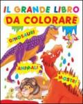 Grande libro da colorare
