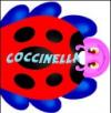 Coccinella. Ediz. illustrata