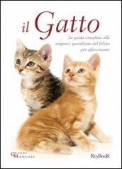 Gatto (Il)