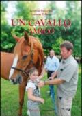 Un cavallo per amico