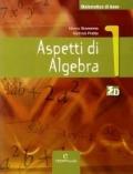 Matematica di base. Aspetti di algebra. Con espansione online. Per le Scuole superiori: MAT.BASE ASPETTI ALGEBRA 1<ESA