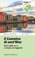 Il cammino di Sant'Olav. Dove cadde un re e nacque una leggenda