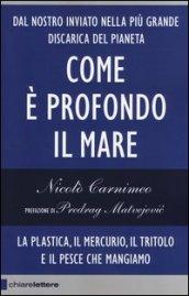 Come è profondo il mare: Dal nostro inviato nella più grande discarica del pianeta. La plastica, il mercurio, il tritolo e il pesce che mangiamo