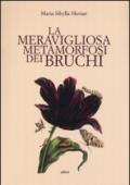 La meravigliosa metamorfosi dei bruchi