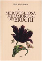 La meravigliosa metamorfosi dei bruchi