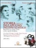 Storia della pallapugno, pallone elastico (2002-2012)