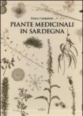 Piante medicinali in Sardegna