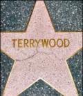 Terrywood. Ediz. inglese