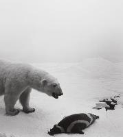 Hiroshi Sugimoto: dioramas