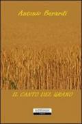 Il canto del grano