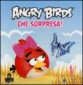 Angry birds. Che sorpresa!