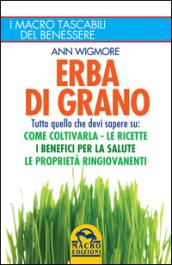 Erba di grano. Come coltivarla. Ricette, proprietà e benefici