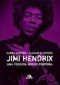 Jimi Hendrix. Una foschia rosso porpora