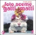 Foto sceme di gatti matti