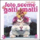 Foto sceme di gatti matti