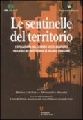 Le sentinelle del territorio. L'evoluzione del custode socio-sanitario nell'area metropolitana di Milano 2004-2008