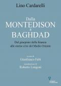 Dalla Montedison a Baghdad. Dal ginepraio della finanza alle eterne crisi del Medioriente